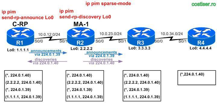 ip pim send-rp-discovery