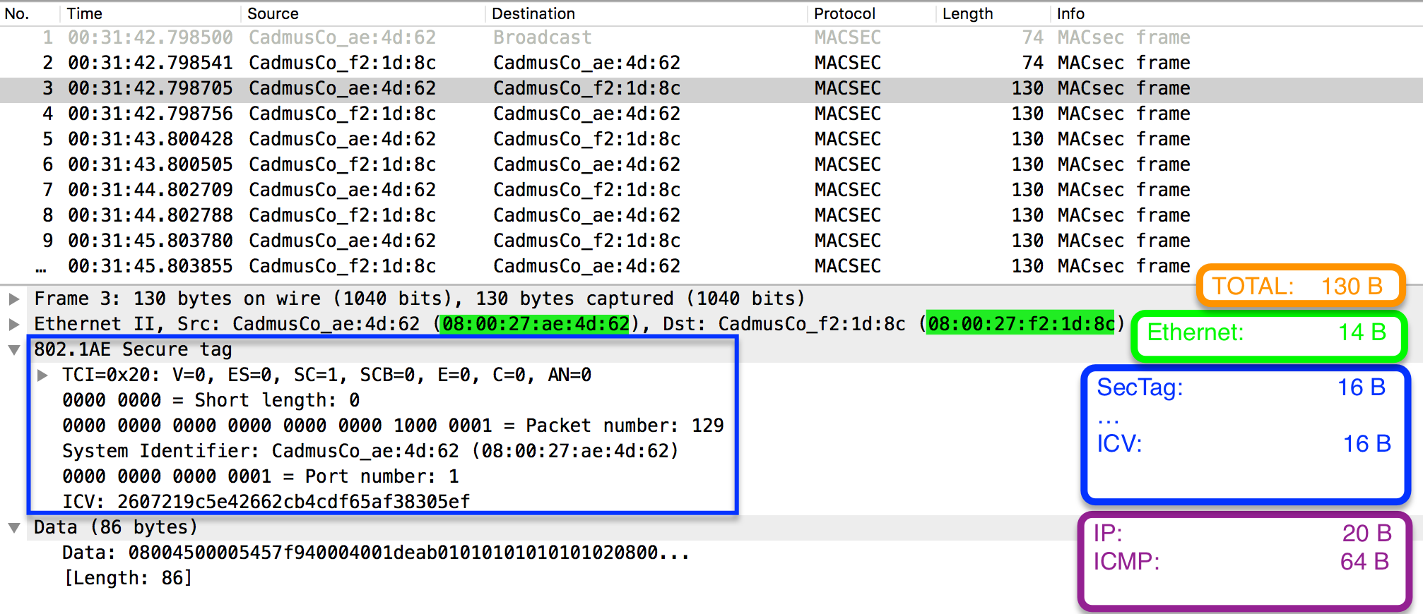 fortigate packet capture wireshark